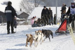 Lenk 2012 SM